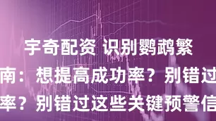 宇奇配资 识别鹦鹉繁殖征兆指南：想提高成功率？别错过这些关键预警信号