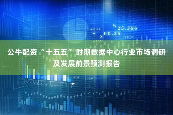公牛配资 “十五五” 时期数据中心行业市场调研及发展前景预测报告
