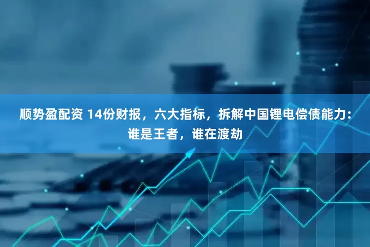 顺势盈配资 14份财报，六大指标，拆解中国锂电偿债能力：谁是王者，谁在渡劫